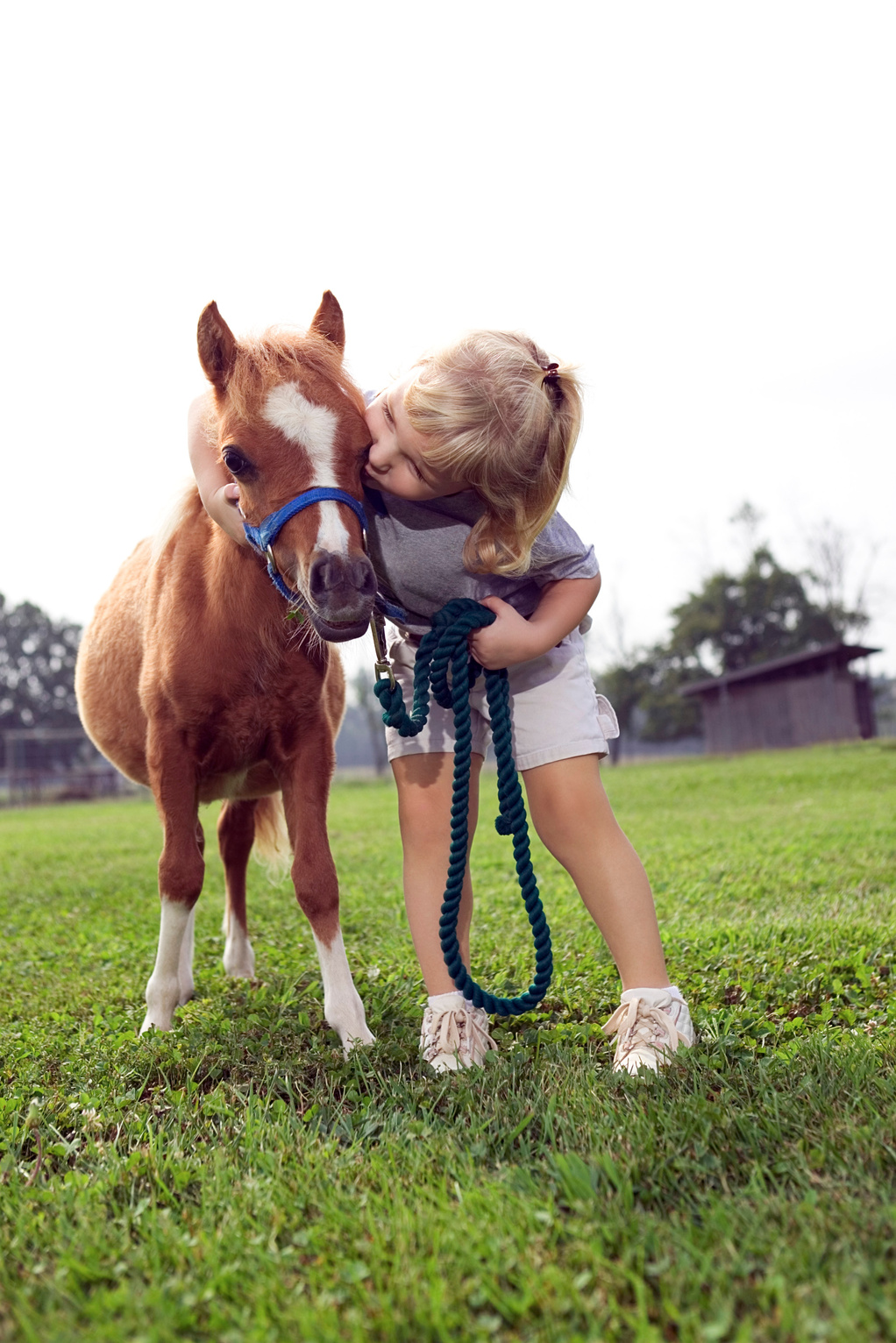 Girl kissing Shetland pony